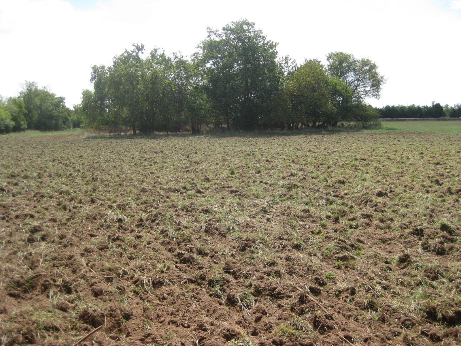 Back Acre Food Plots Working a Late Season Dove Field