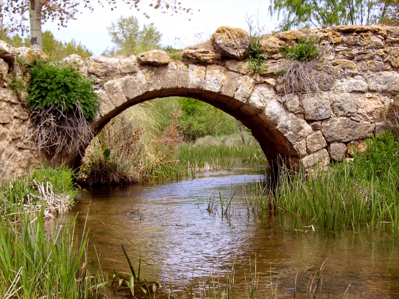 Reporte de puentes juarez