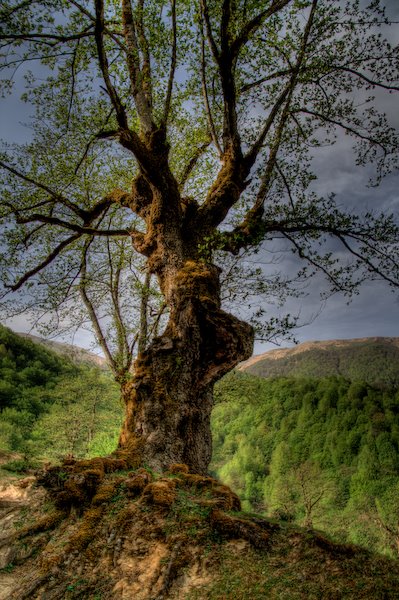 [IMG_4535_6_4+copy.jpg]