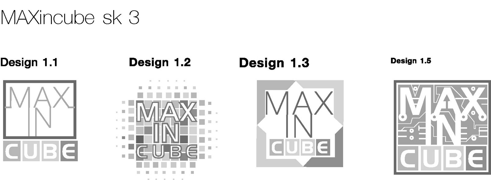 [MAXincube_logo+present.jpg]
