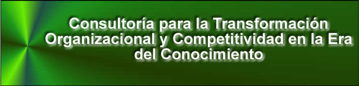 Consultoría para la Transformación Oganizacional y Competitividad en la era del Conocimiento