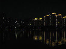 Chengqing Lake at Night