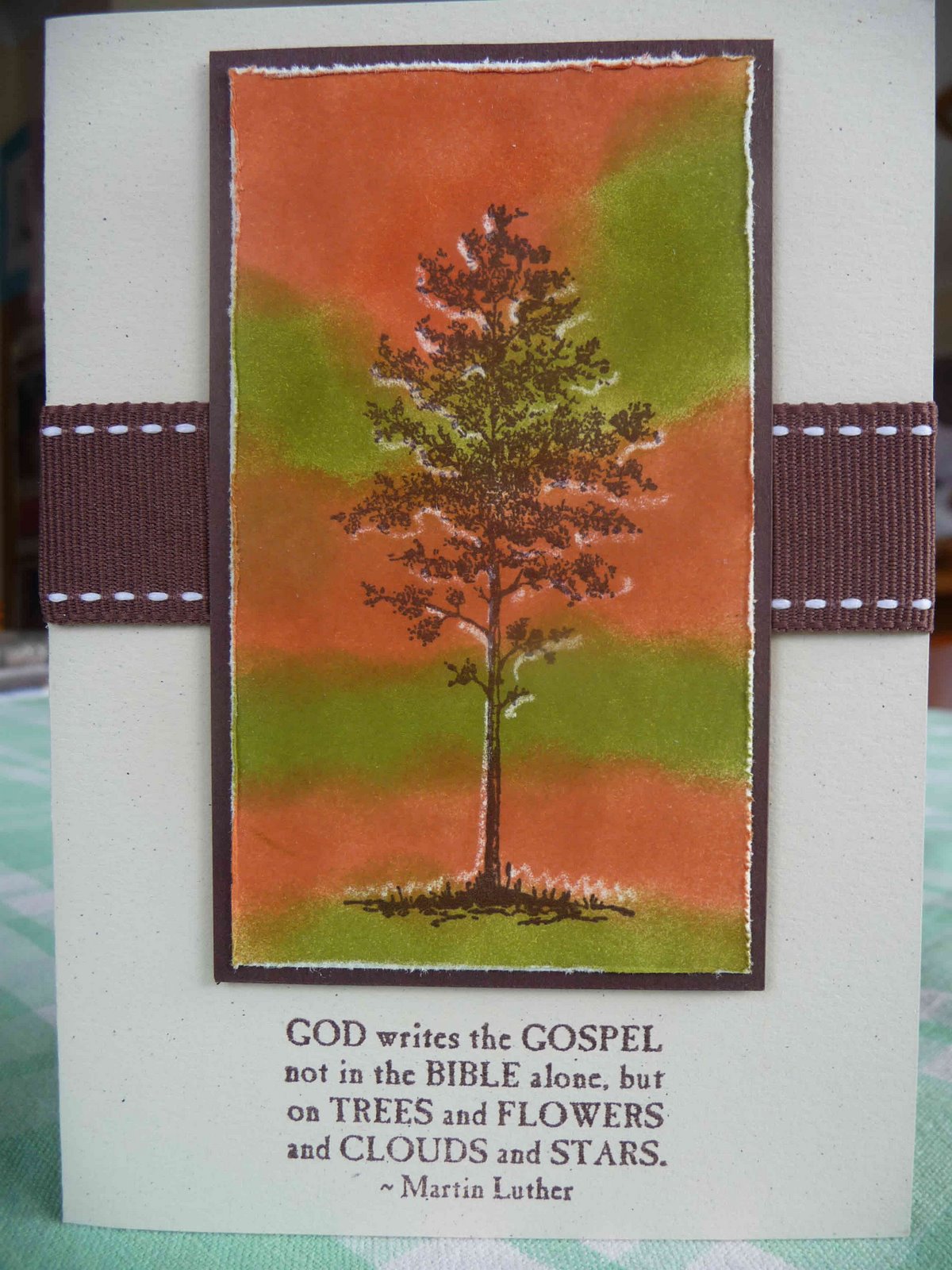 [Blogg_classP1010282.jpg]