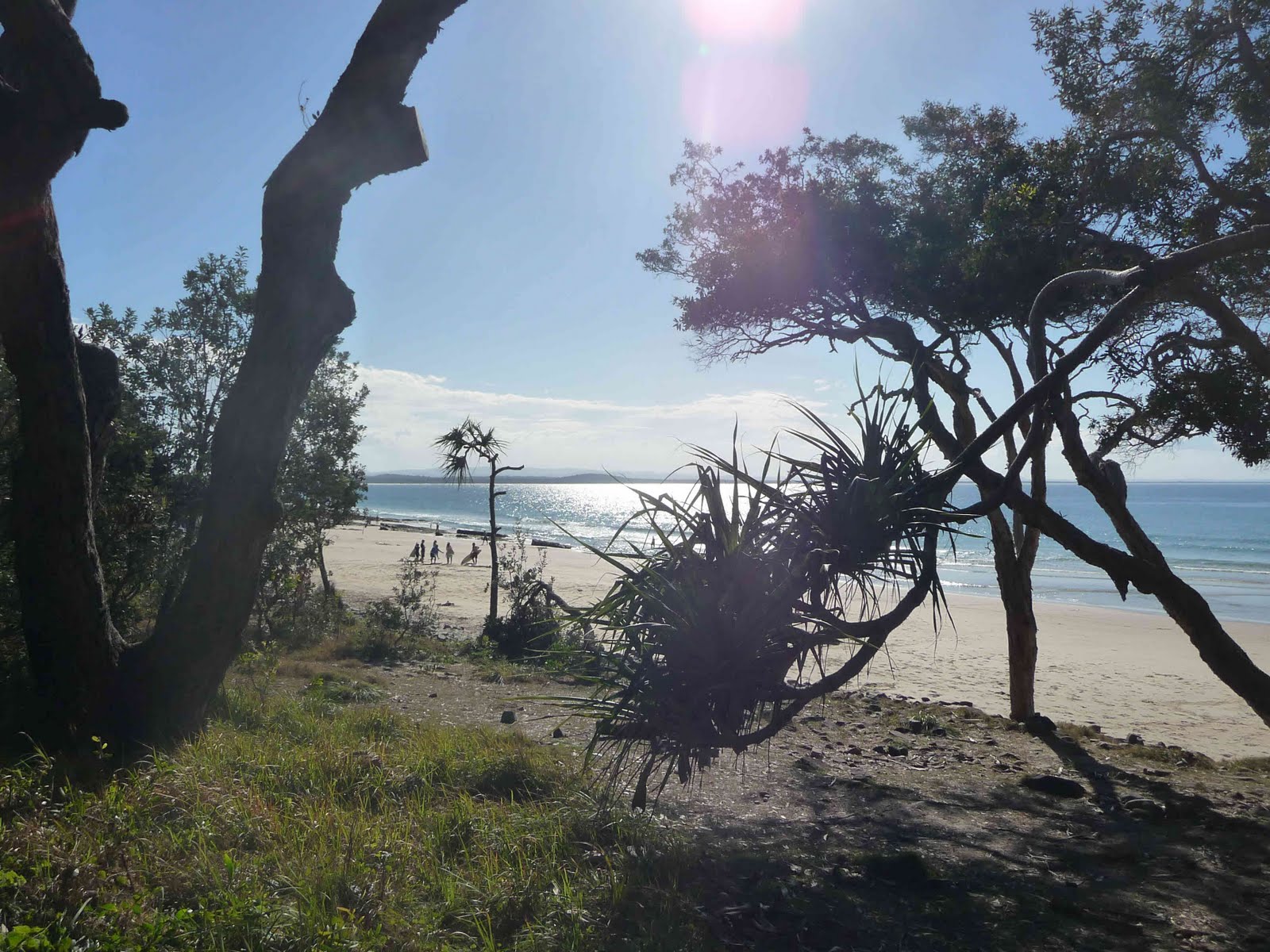 [Blogg_classP1010450.jpg]