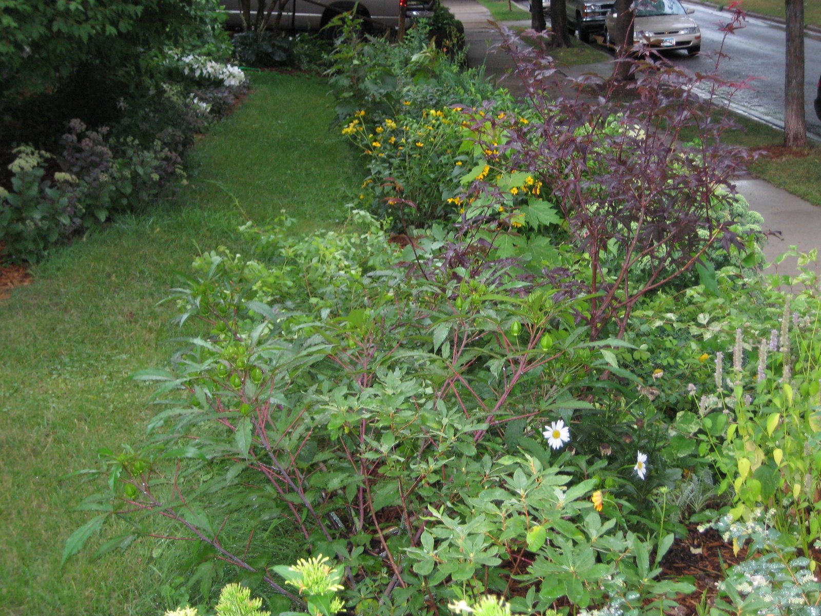 [img_0831.jpg]