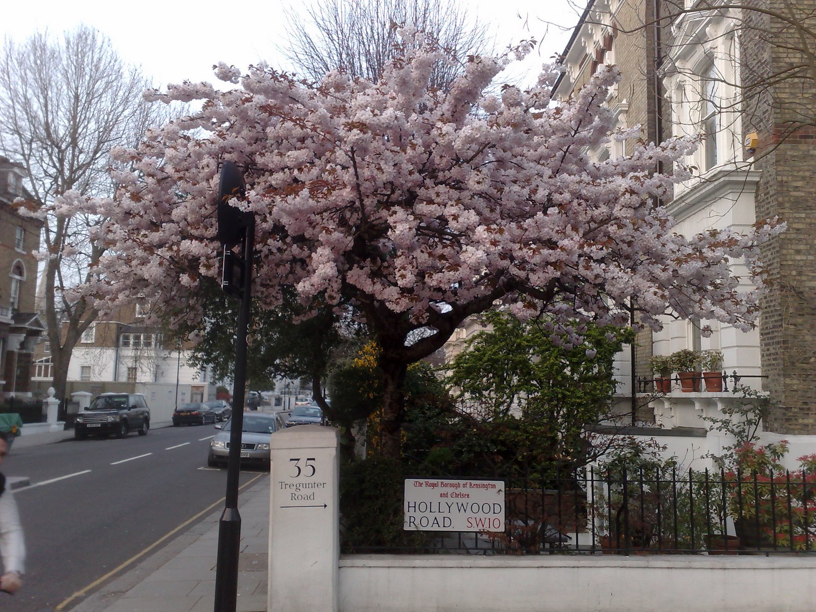 [03042009083.jpg]