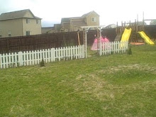 my yard after planting grass and flowers