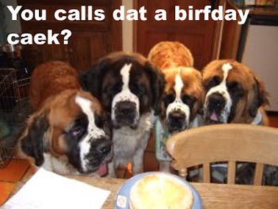 Birthday Cake Shot on Tequila Es Verdad  Our Thinking Brain Dog Celebrates Another Birthday