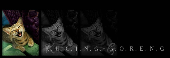 Kucing-Goreng