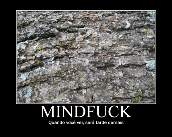 motivator43831a5c23798a24a061160d5126257