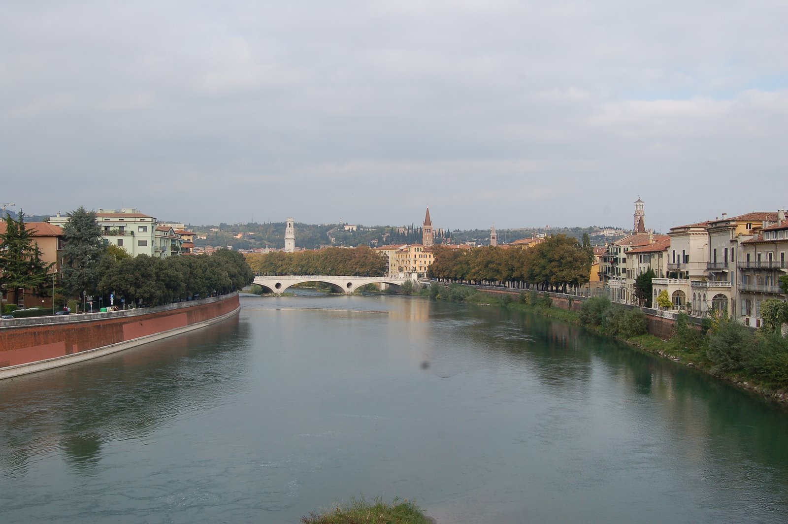 [DSC_2367.JPG]