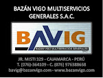 BAVIG SAC