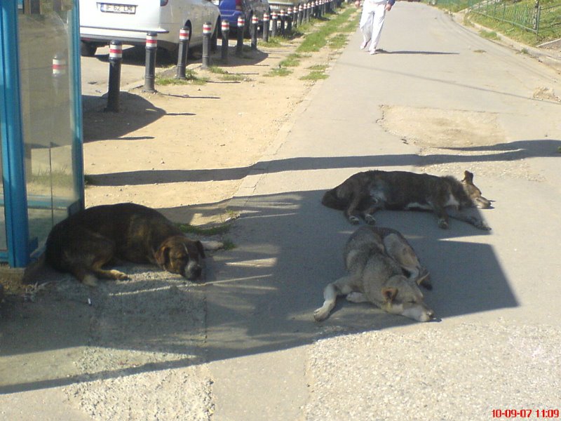[DSC01963.JPG]