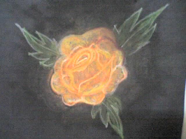 [yellowRose.jpeg]