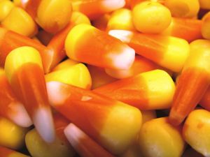[378876_candy_corn.jpg]