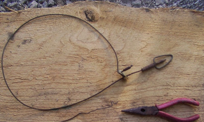Wire Snare