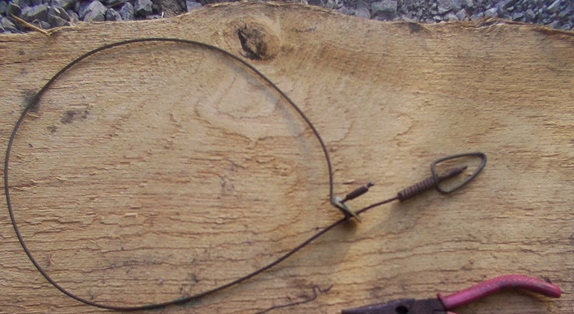 The Prepared Christian A simple wire snare support