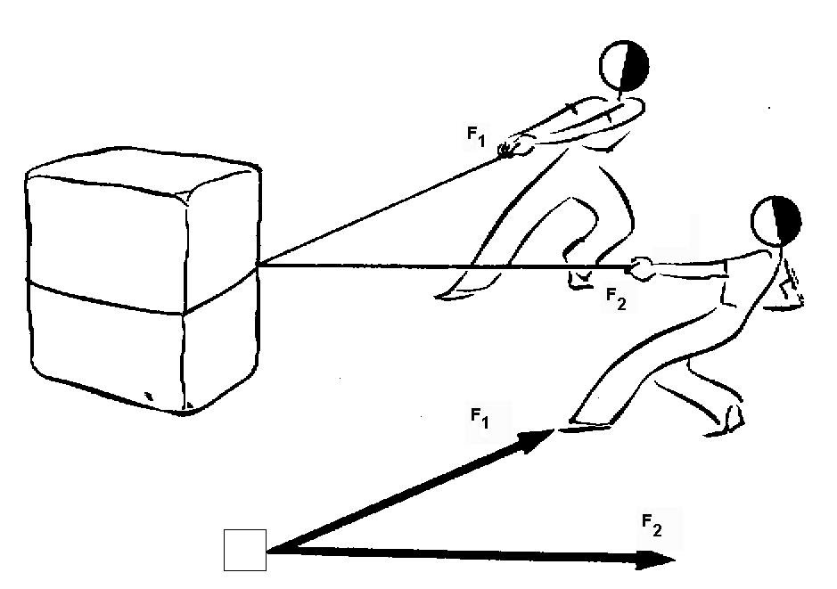 EQUILIBRIO EN LA FUERZA equilibrio en la fuerza: