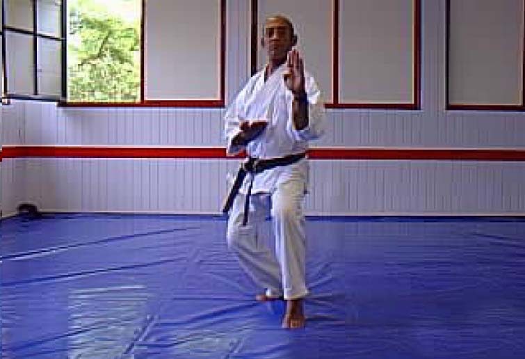 Karate Cat Stance Martial Arts News