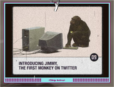 Jimmy the Twitter Monkey