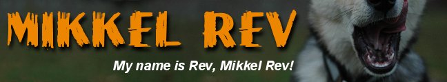 Mikkel Rev