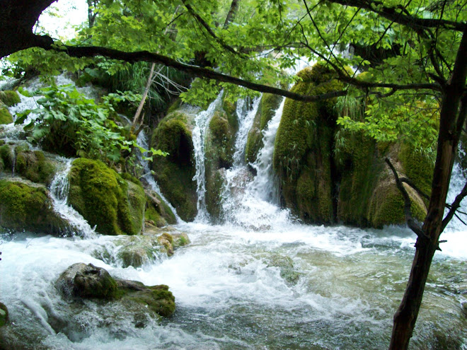 STUDIO PER UN QUADRO IMPRESSIONISTA