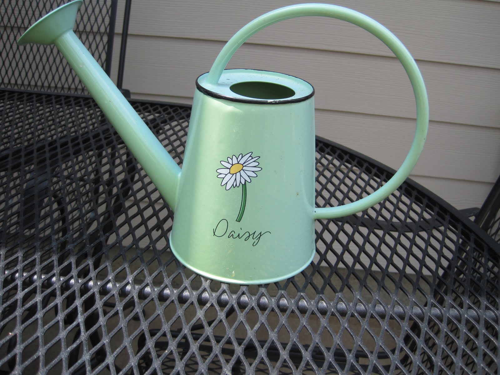 Cherished Treasures Watering Can Finds at Goodwill