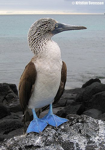 [1855651560_352f9064ee.bmp]