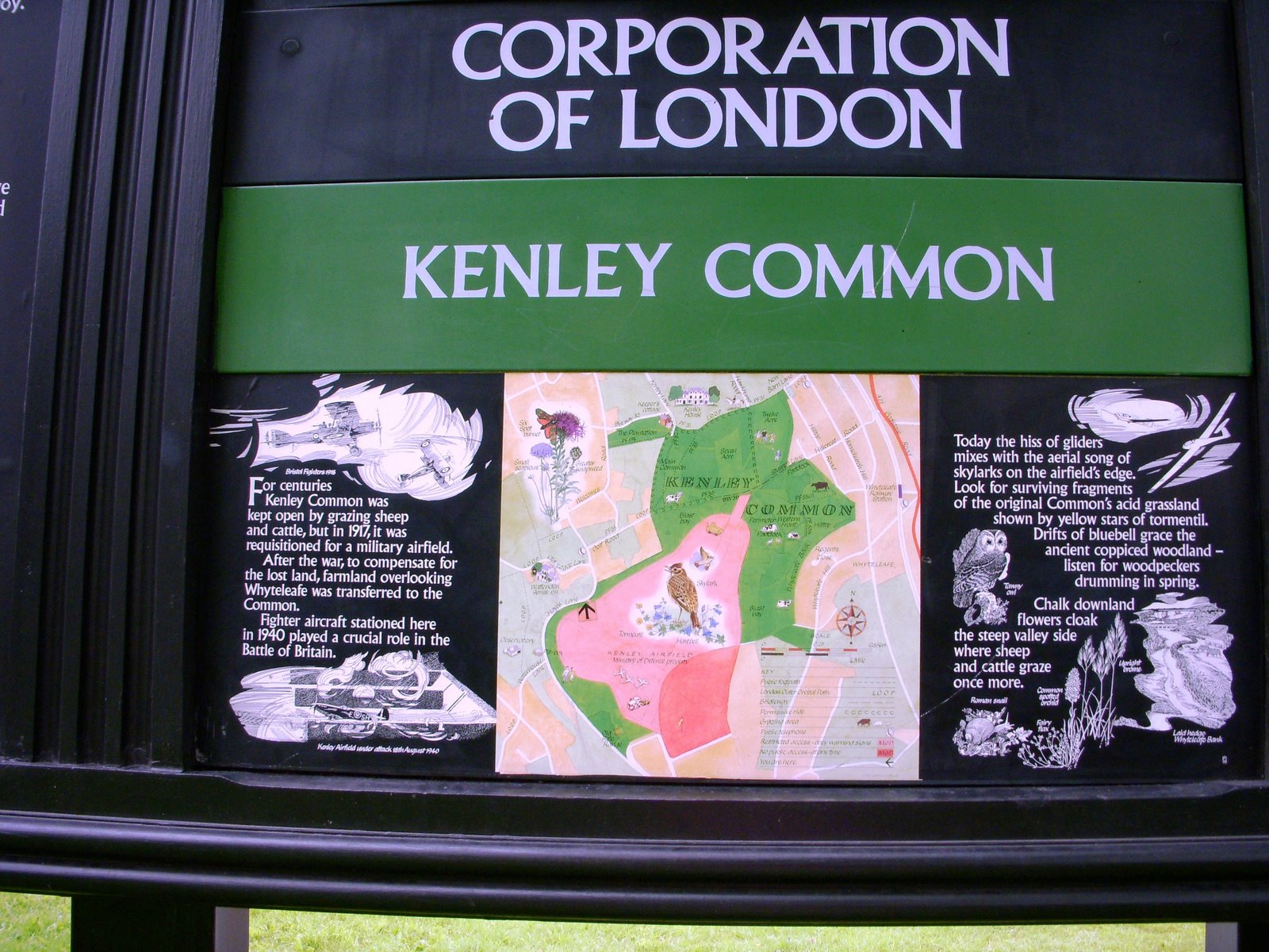 [Kenley+Common+Map.jpg]