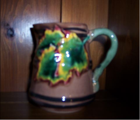 [leafpitcher.jpg]