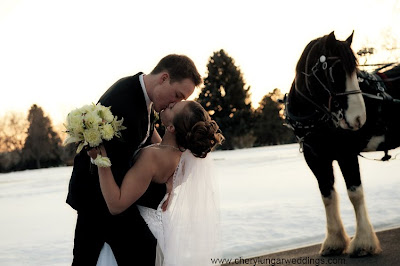 Wedding photography in Denver, Colorado by Cheryl Ungar
