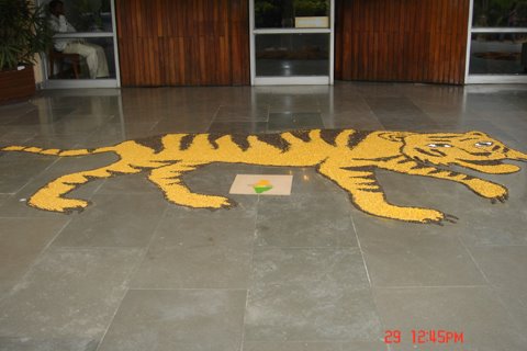 [tiger+workshop1.jpg]