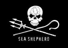 saving the whales/support sea shepherd