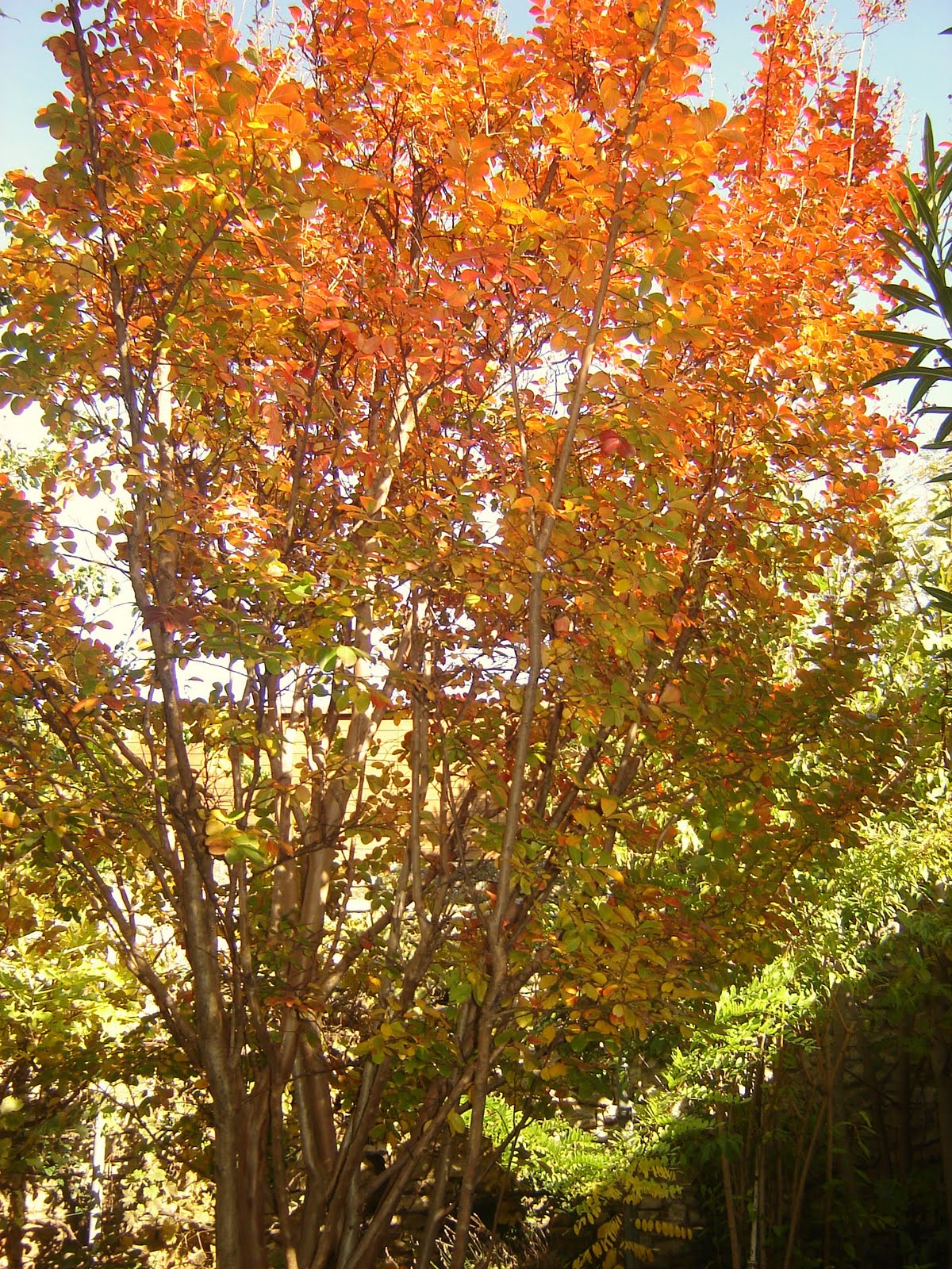 [DSC06732.JPG]