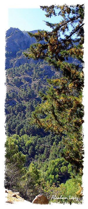Sierra de Cazorla
