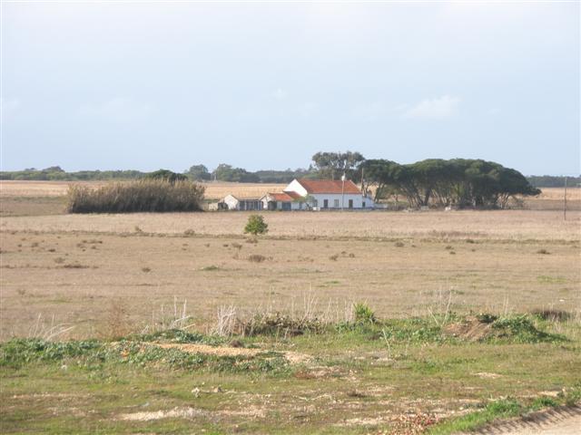 [PB290484+(Small).JPG]