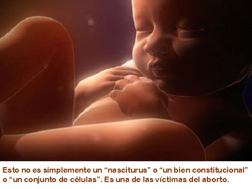 UNA SOCIEDAD INCAPAZ DE PROTEGER AL NO NACIDO ES UNA SOCIEDAD FRACASADA