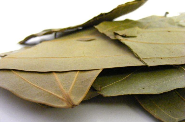 Image Description of Food Bay Leaf TejPaat