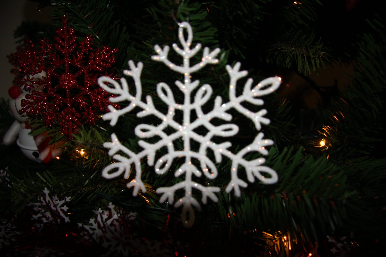 [IMG_2867.JPG]