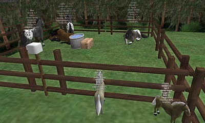 Virtual horses in Second Life