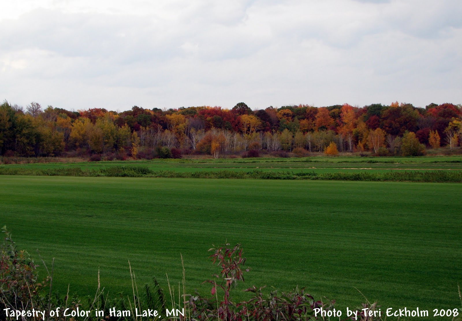 Ham Lake, MN Real Estate Market Statistics 3rd Quarter 2010