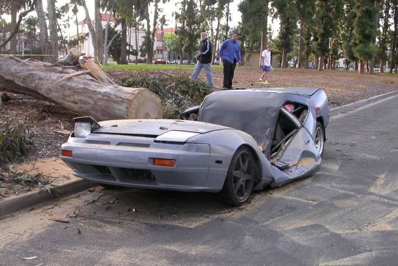 Tree On Car
