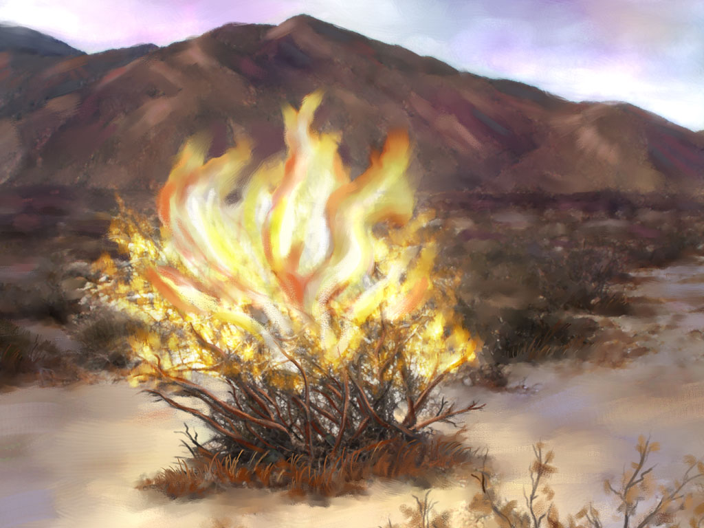 Burning bush at church