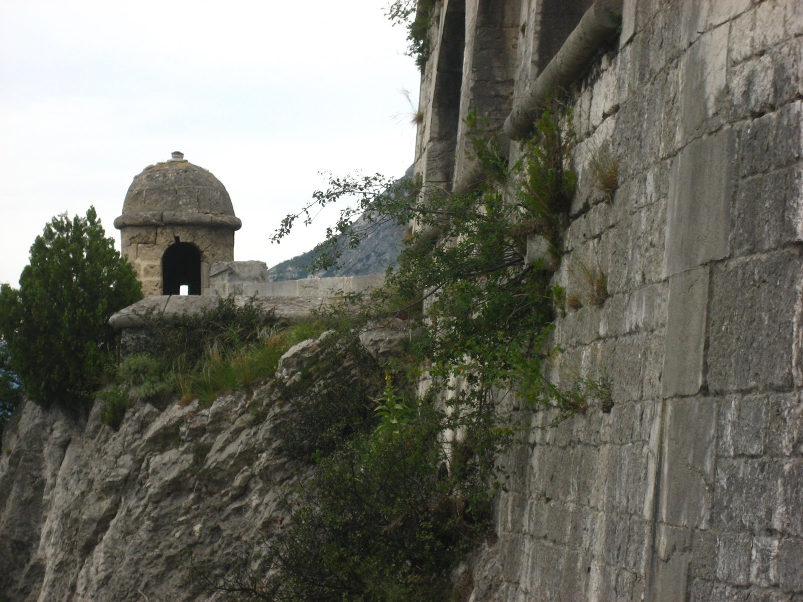 [IMG_2426.JPG]