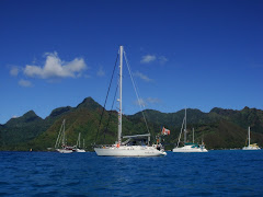 Anchored in Moorea