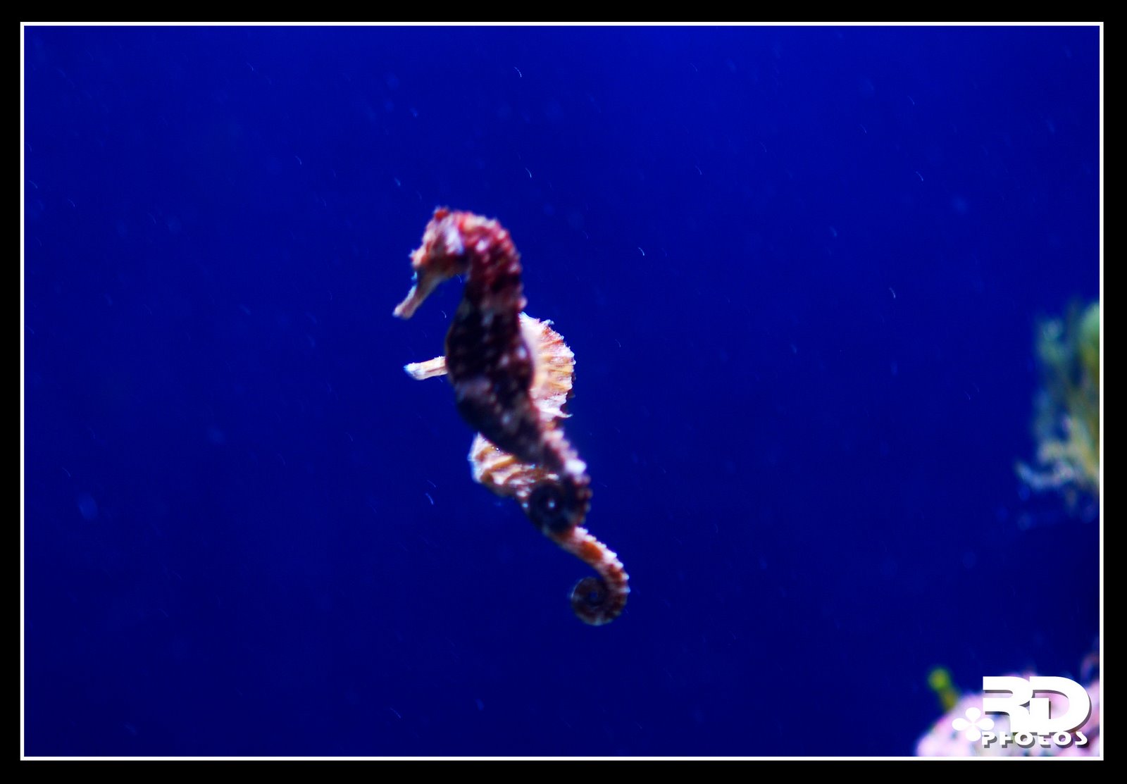 [DSC_0273.JPG]