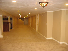 Finished Basement, N.W. side, Crown molding, trim, doors