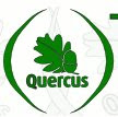 Quercus