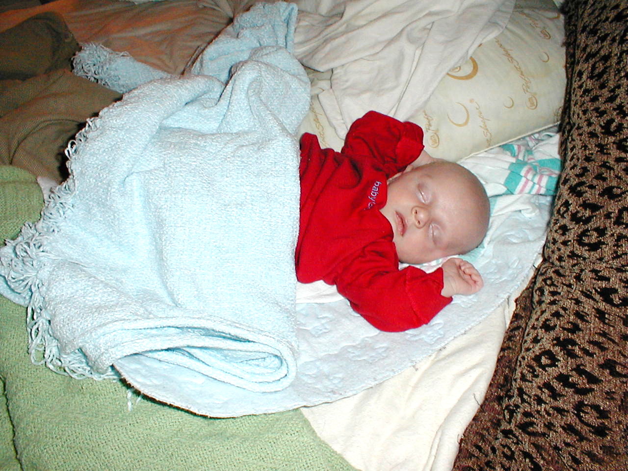 [P4240039.JPG]