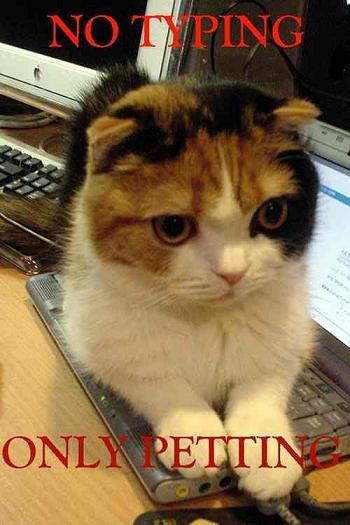 [notyping.jpg]
